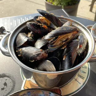 Mussels