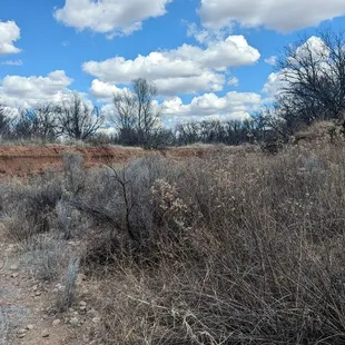 Trail goes across wash