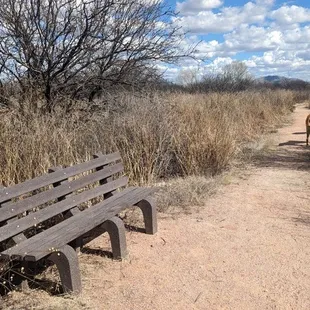 Several benches along trail
