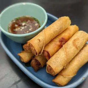 Musang - Lumpiang Shanghai