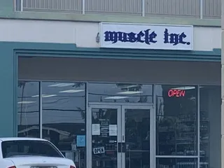 Muscle