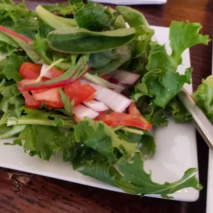 Light  Salad.