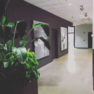 In the lobby of Smith Bros - David Senecal large-scale abstract