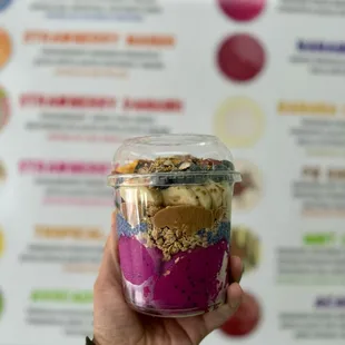 Pitaya and Spirulina Chia Pudding Bowl
