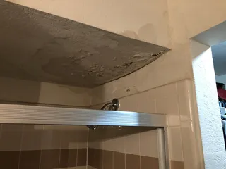 Forest Pointe Apartments