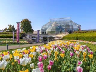 Phipps Conservatory and Botanical Gardens