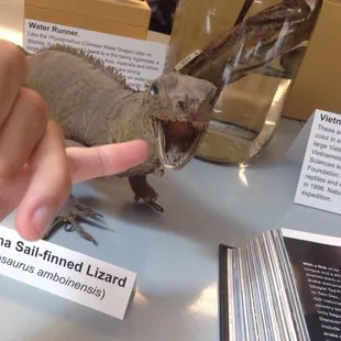 Eat my finger! I dare you