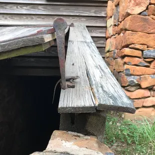 Salamander in the root cellar
