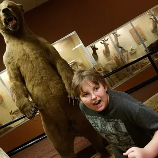 The big brown bear RUN!