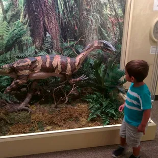 Dinosaur exhibit