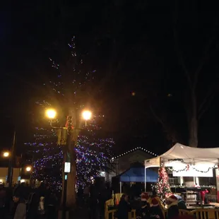 Christmas tree lighting
