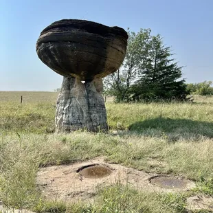 Mushroom rock
