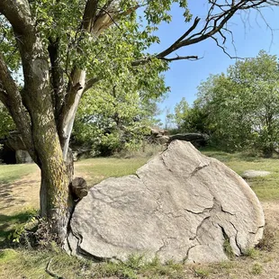 A good rock to climb on