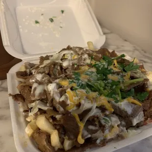 Gyro fries