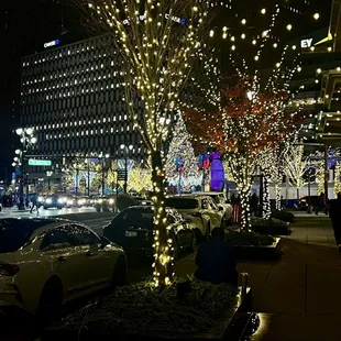 So many lights adorn the streets of the city
