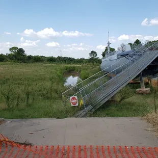 Did you know the Batfish has a twin?