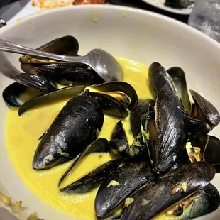 Curry Mussels