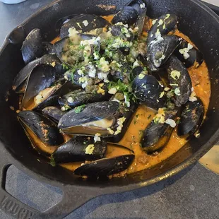 oysters and mussels, food, mussels, oysters, shellfish