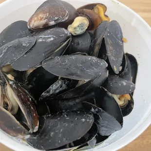 food, oysters and mussels, mussels, shellfish, oysters