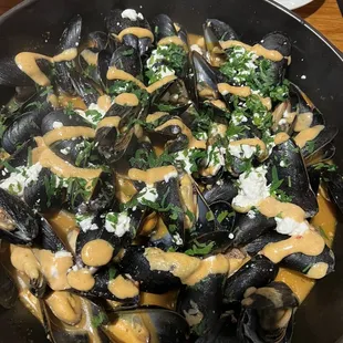 Mediterranean Mussels