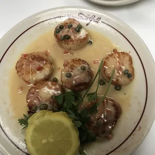 Scallops