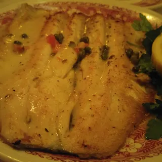 Trout