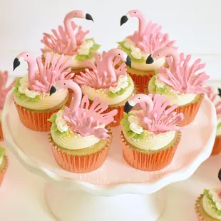 Flamingo cupcakes