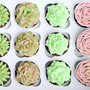 Succulent cupcakes