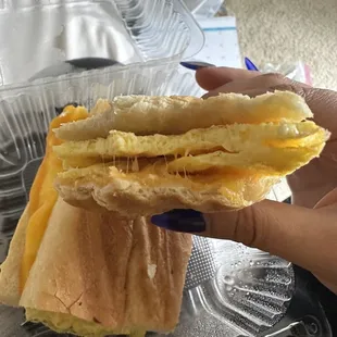 egg and cheddar panini