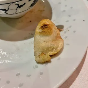 Steamed Or Pan Fried Dumplings