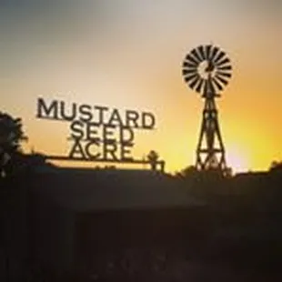 the sun setting behind a windmill