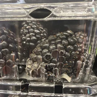 Mold on the blackberries.