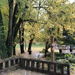 Rain doesn't stop beauty