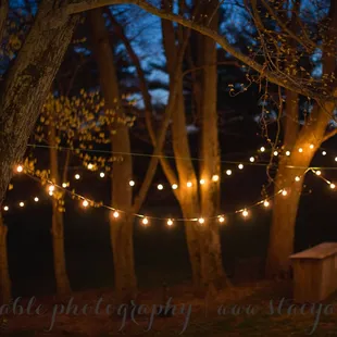 Strung lights around the gardens