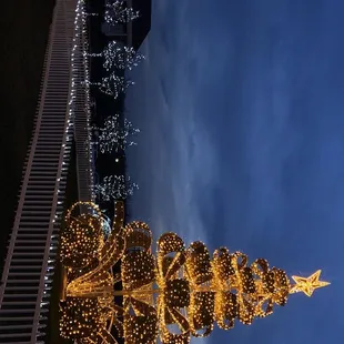 30 ft tree