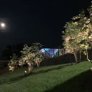 Wedding party under the full moon #mustardseedhillwedding #mustardseedhill #oasisproductions