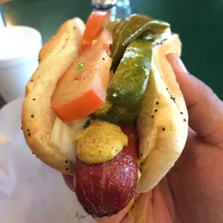 Wrigley Field Fire Dog