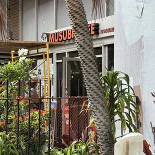 Front Entrance (currently under construction)