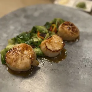 Scallops