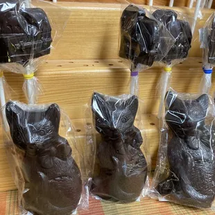 Black cats for Halloween