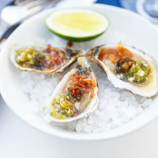 Fresh East Coast Oysters Thai Set-Up - Nam Jim Thai salsa verde, chili jam, fried shallots, lime