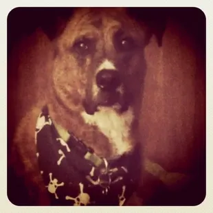 Thanks Lauren for my bath!