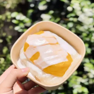 Mango Sticky Rice