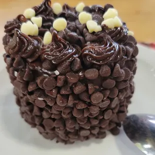 1001 chocolate cake.  Deliciously rich.  FYI. These are brought in from an outside bakery.