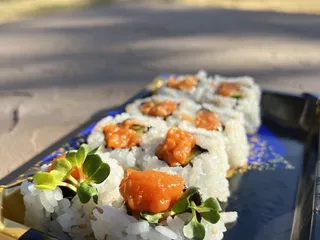 Nakata Market of Japan