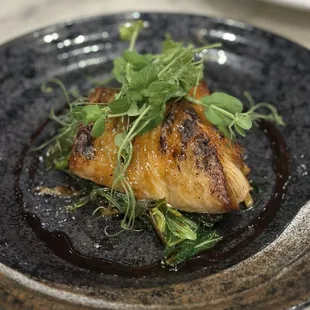 Miso Honey Glazed Butterfish