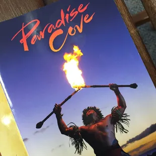 12.30.15  booking for this!