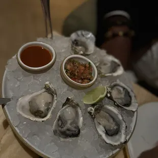 Oysters