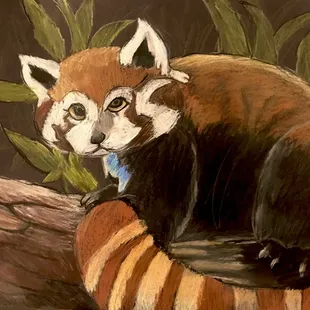 Red Panda created by Christian, age 9.