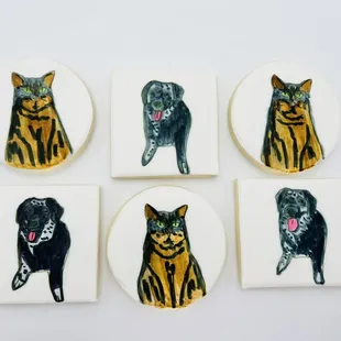 Cat and dog hand drawing theme cookies